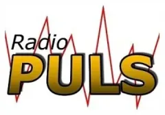 Logo: Radio Puls Grocka